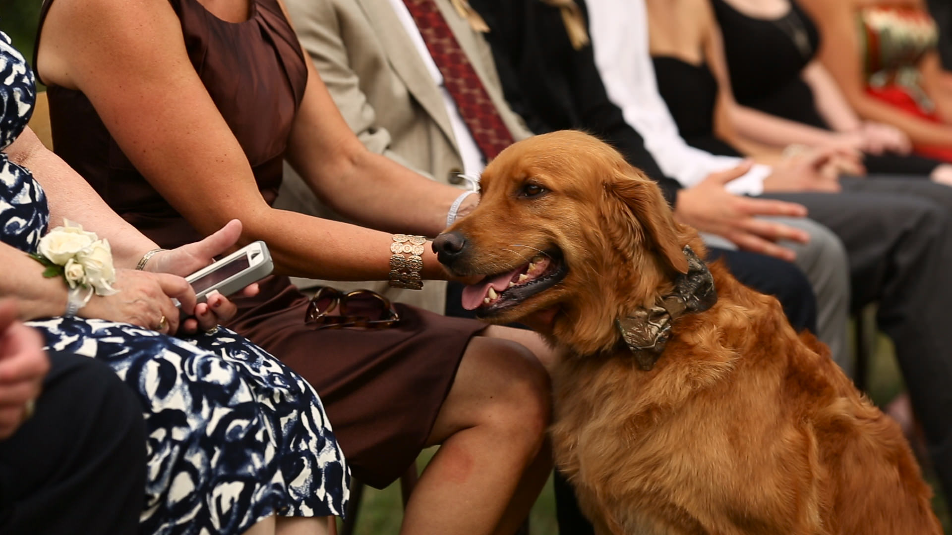 Evan and Olyvia's Wedding