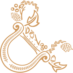 transparentArtboard 6.png